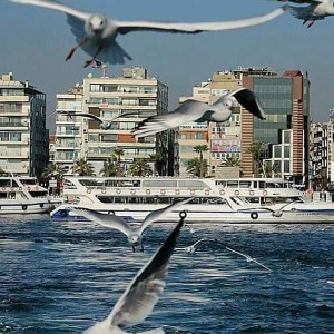 Работа в турции измир დასაქმება თურქეთში იზმირი