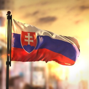 СЛОВАКИЯ Братислава Кошице Нитра Прешов Жилина Банска Бистрица Трнава