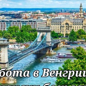 Работа в Венгрии