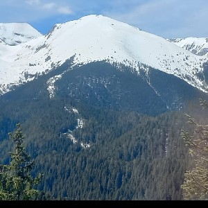 Друзья Болгарии. Приятели на България.